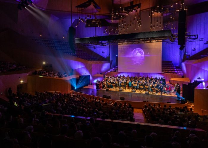 concierto-voces-que-importan